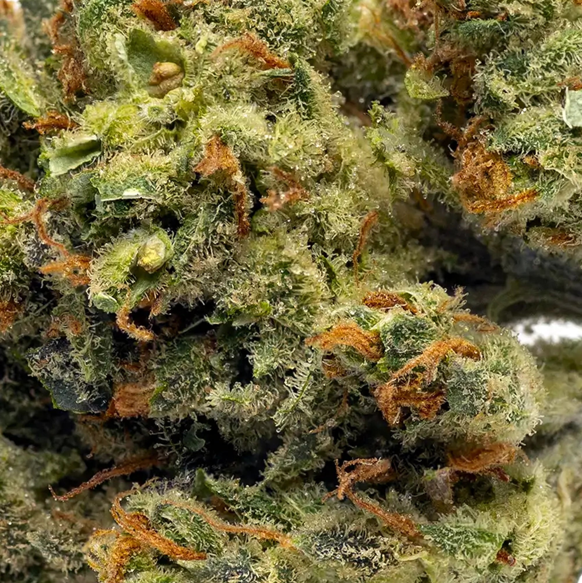 Fleur AK-47