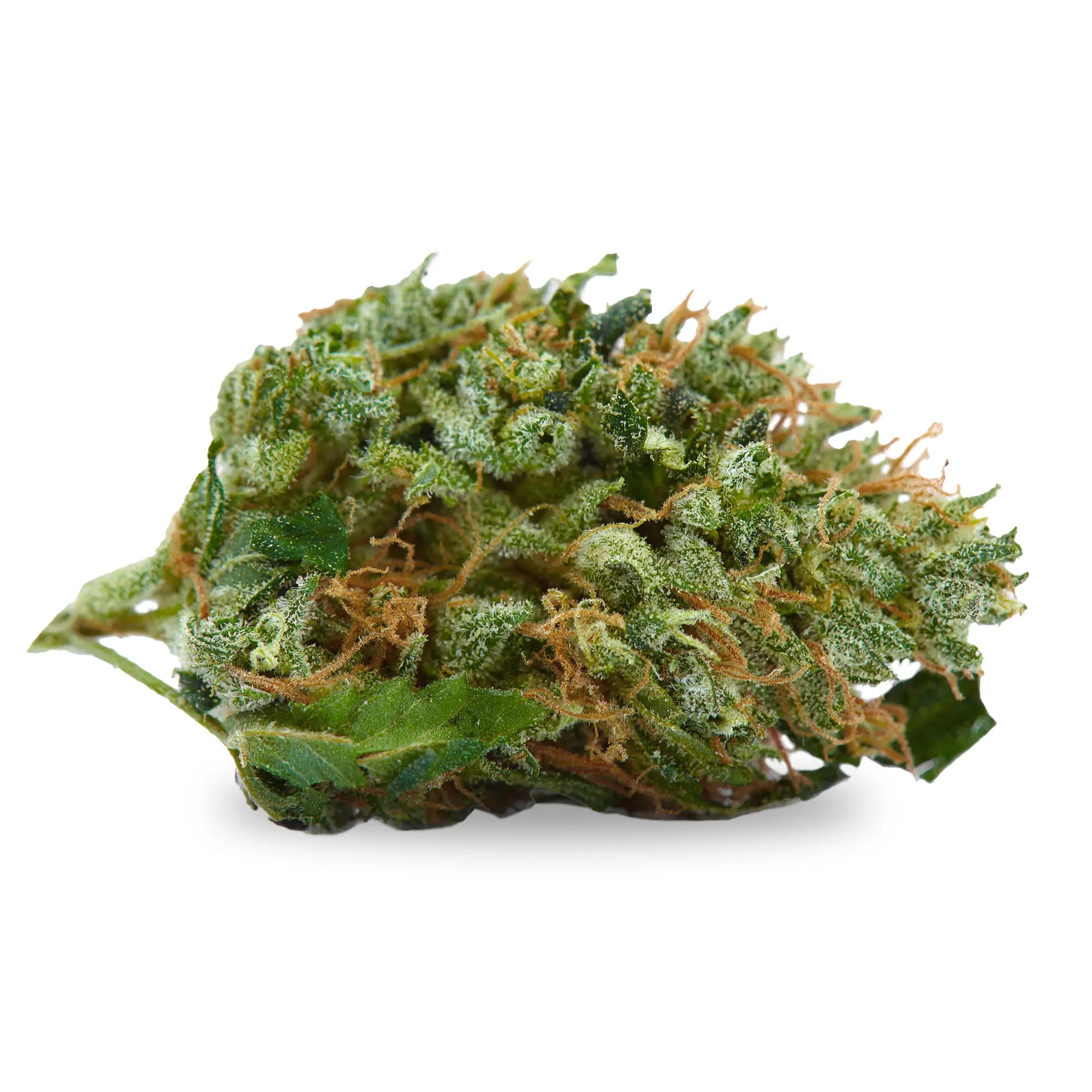 Fleur Critical