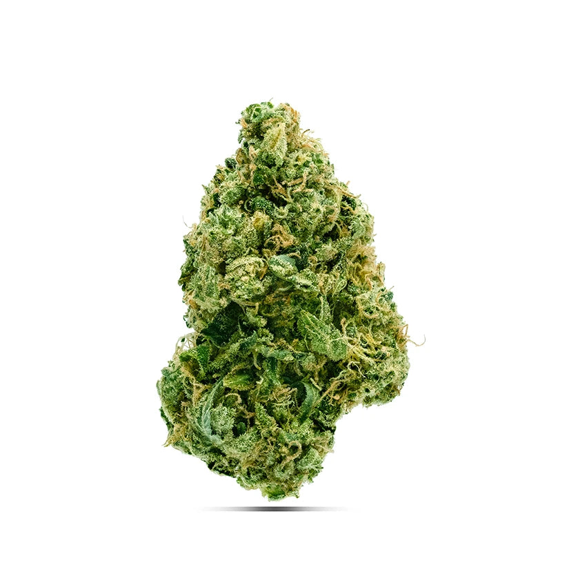 Fleur Amnésia enrichie en cannabinoïdes