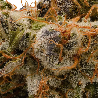 Fleur Gelato