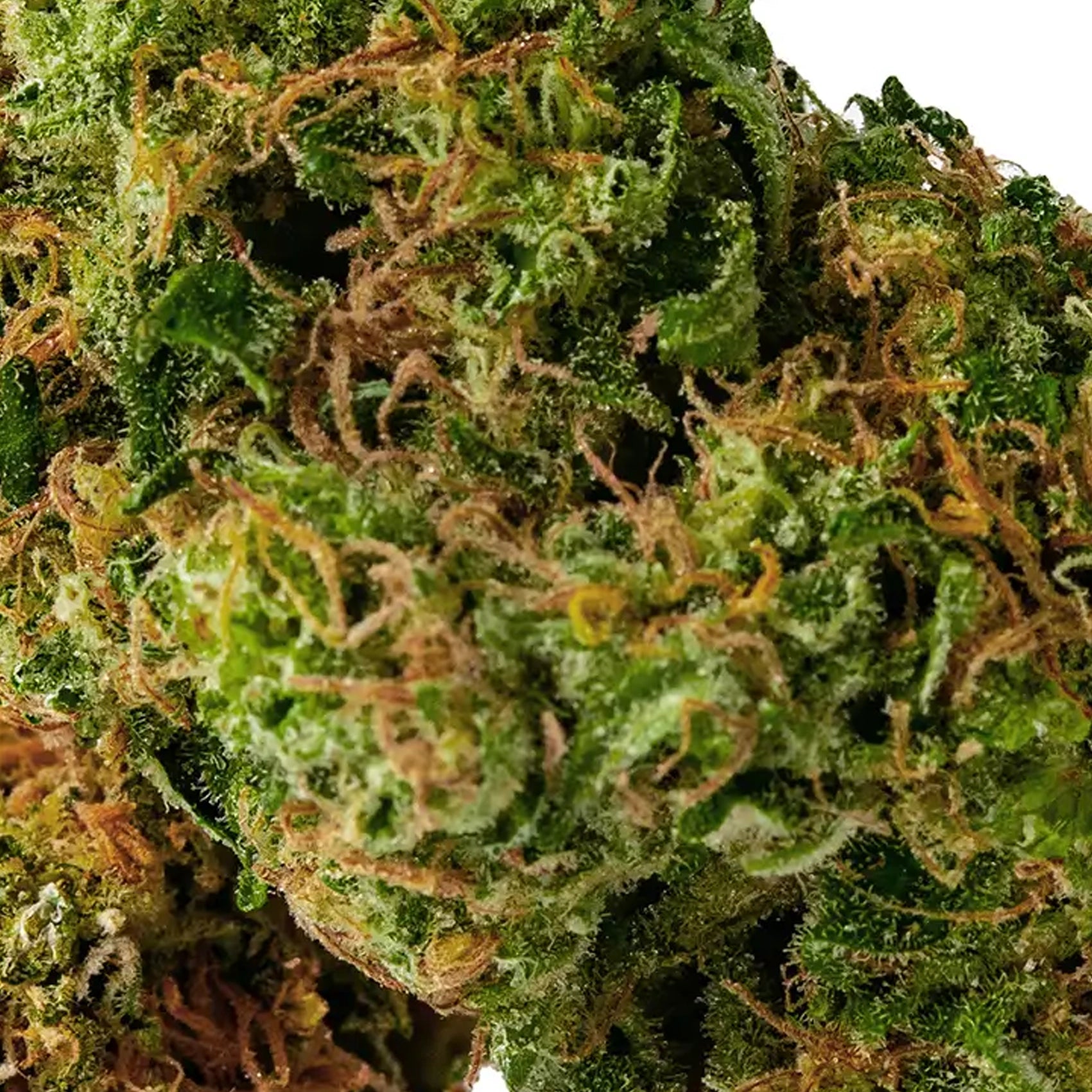 Fleur Lemon Popperz