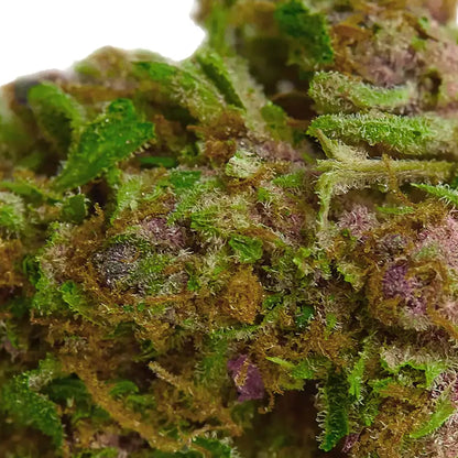Fleur Rainbow Chip
